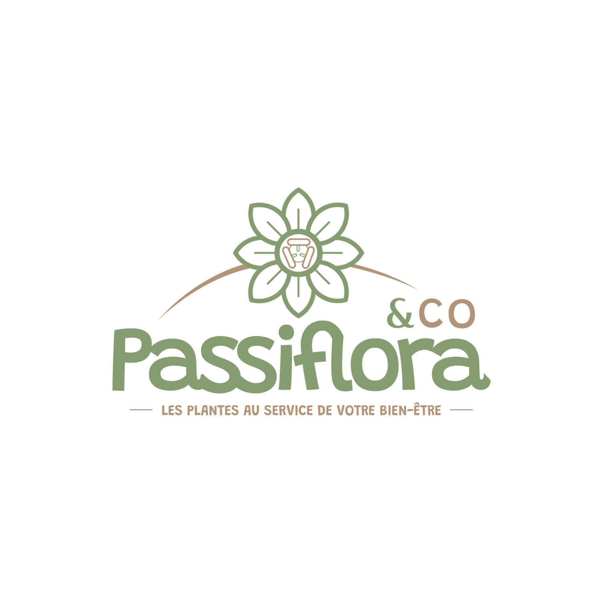 logo Passiflora & Co